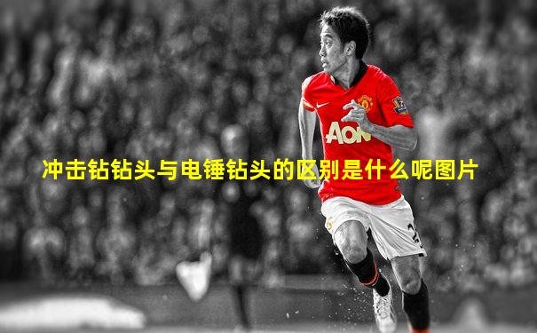 冲击钻钻头与电锤钻头的区别是什么呢图片